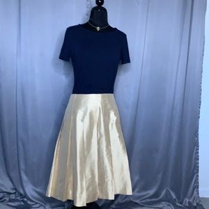 Banana Republic Champagne Silk Skirt Sz 2